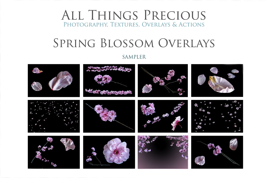 BLOSSOM PETALS AND BRANCHES Digital Overlays